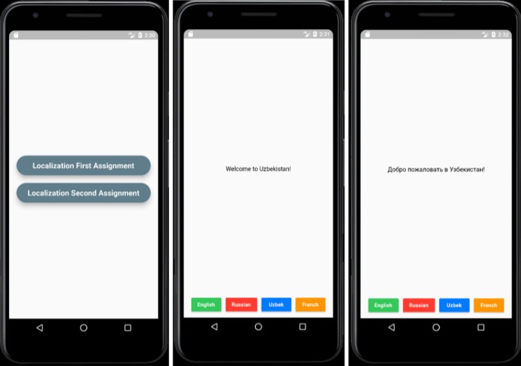 Localization App Built With Flutter