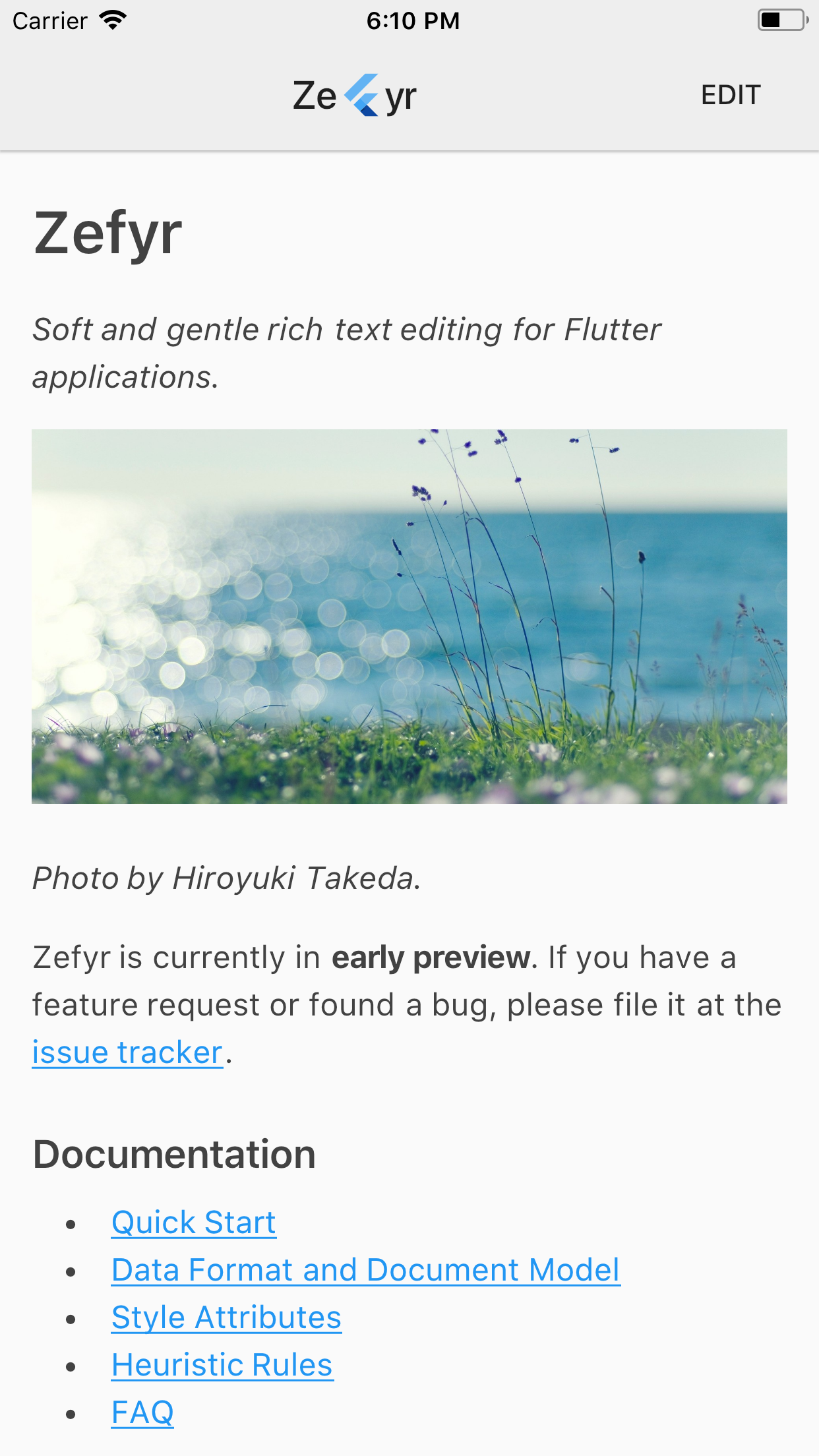 Zefyr 1 Soft Rich Text Editing Free Flutter Source Code