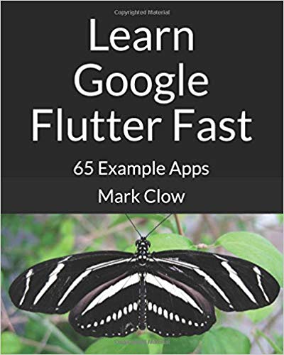 google flutter consultant