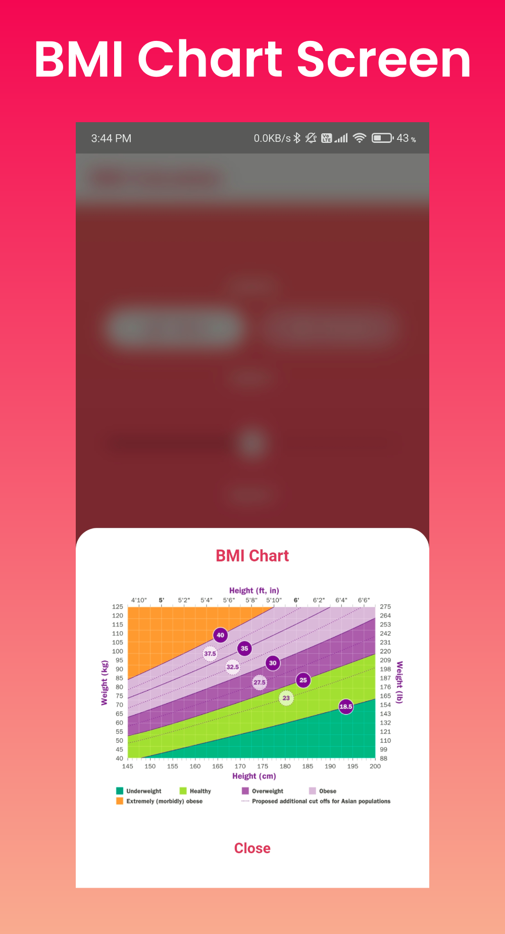 chart