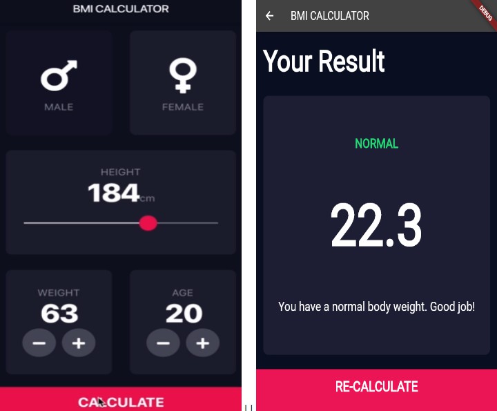 BMI Calculator Using Flutter With Basic Ui