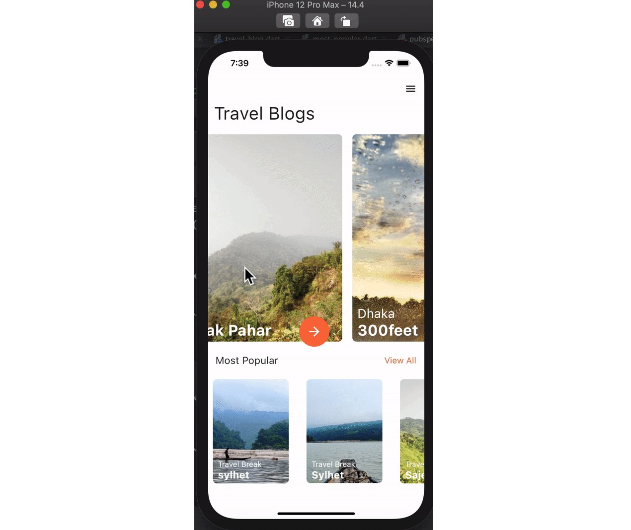 Flutter Travel Blog App