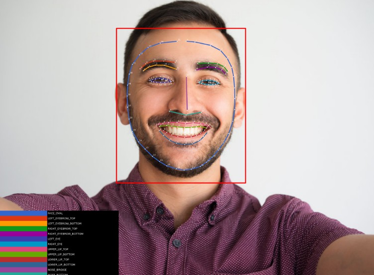 With ML Kit's face detection API, you can detect faces in an camera or