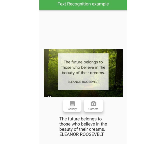flutter-text-recognition-example