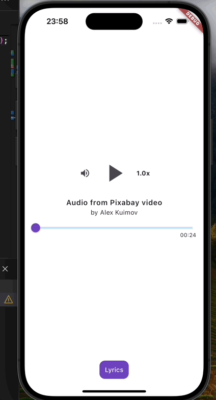 A Flutter package for synchronizing subtitles with video and audio playback
